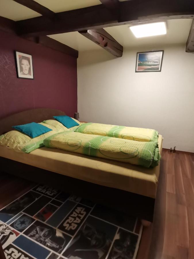 Apartman Ve Mlejne Nova Bystrice Luaran gambar